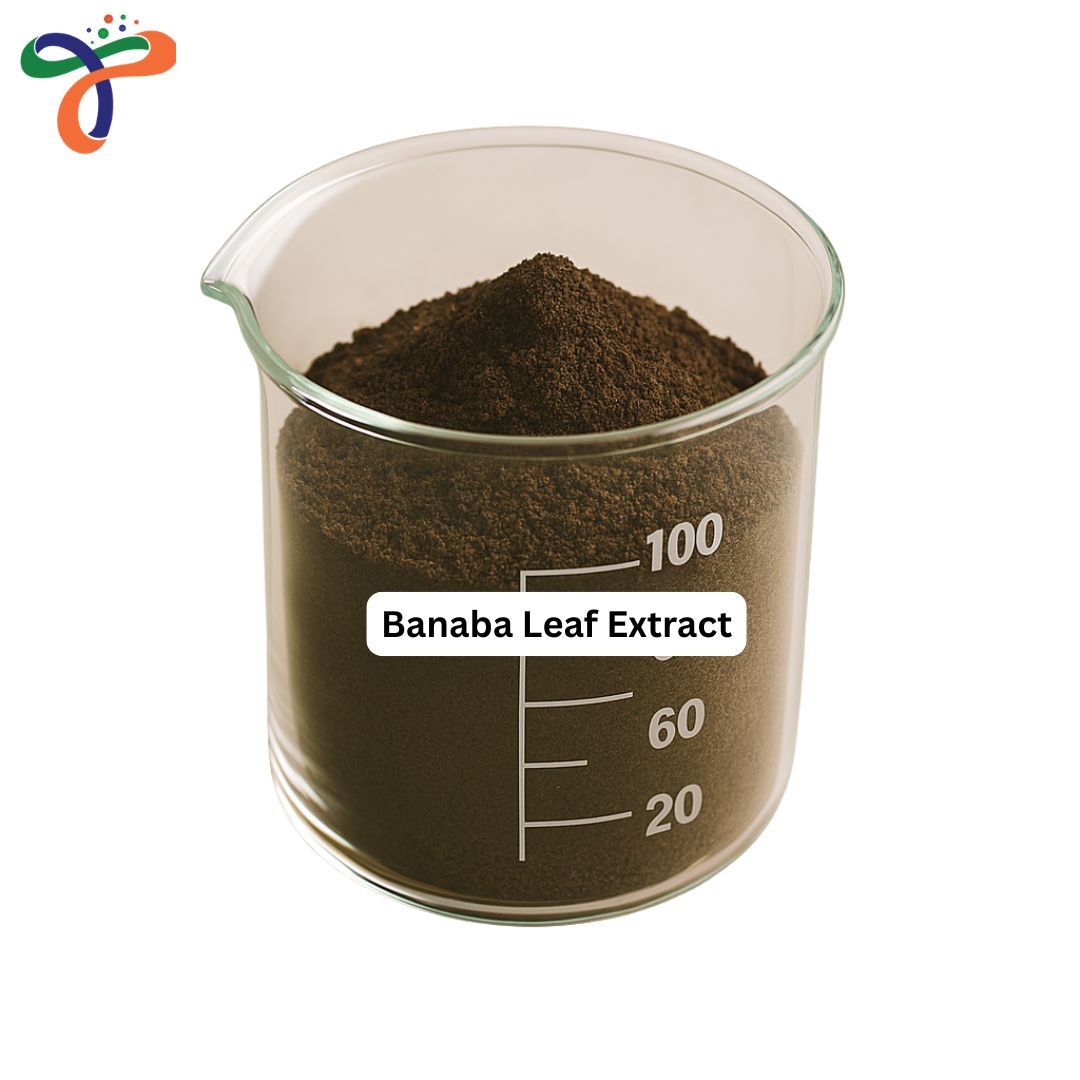 Banaba Leaf Extract
